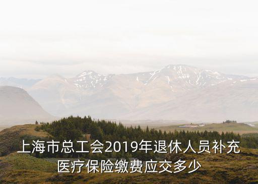 上海市總工會2019年退休人員補充醫療保險繳費應交多少
