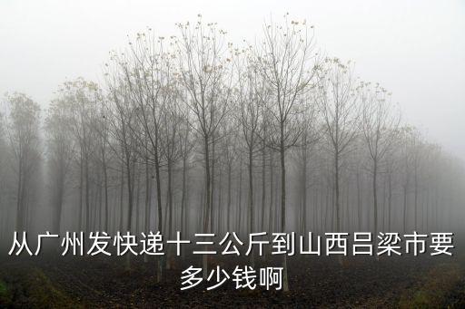 從廣州發(fā)快遞十三公斤到山西呂梁市要多少錢啊