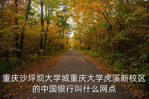 重慶沙坪壩大學城重慶大學虎溪新校區的中國銀行叫什么網點