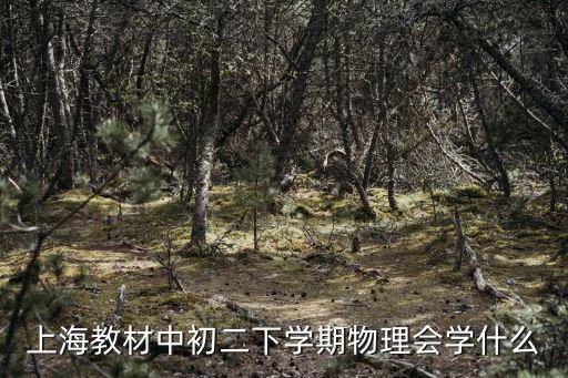 上海教材中初二下學(xué)期物理會學(xué)什么