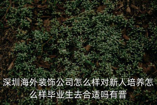 深圳海外裝飾公司怎么樣對新人培養怎么樣畢業生去合適嗎有晉