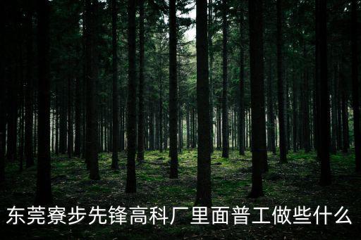 東莞寮步先鋒高科廠里面普工做些什么