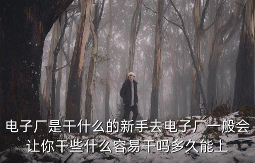 東莞愛馬電子廠做什么，電子廠是干什么的新手去電子廠一般會(huì)讓你干些什么容易干嗎多久能上