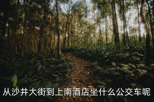 從沙井大街到上南酒店坐什么公交車呢