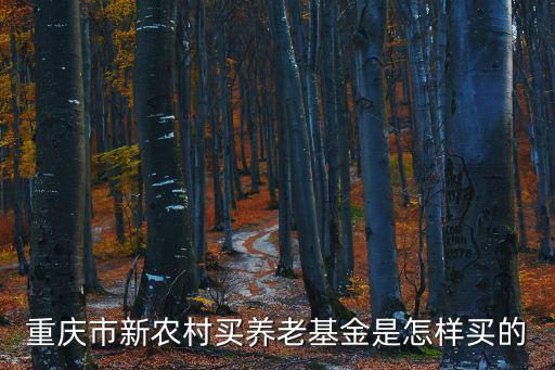 重慶市農村養老保險的購買，重慶市新農村買養老基金是怎樣買的