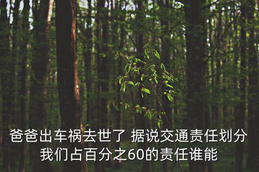 爸爸出車禍去世了 據(jù)說交通責(zé)任劃分我們占百分之60的責(zé)任誰(shuí)能
