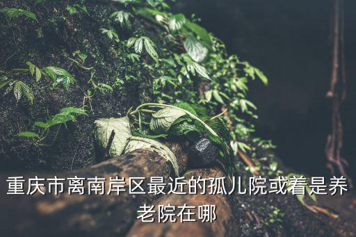 重慶市離南岸區最近的孤兒院或著是養老院在哪