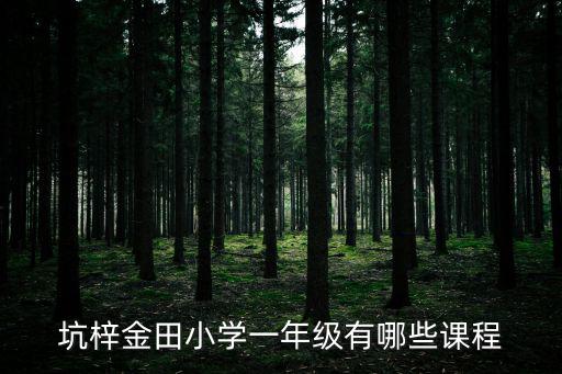 坑梓金田小學一年級有哪些課程
