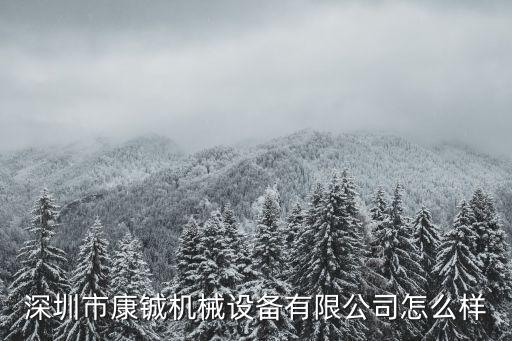深圳市康鋮機械設備有限公司怎么樣