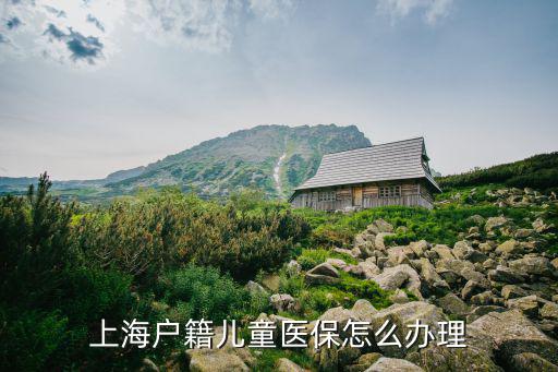 上海戶籍兒童醫(yī)保怎么辦理
