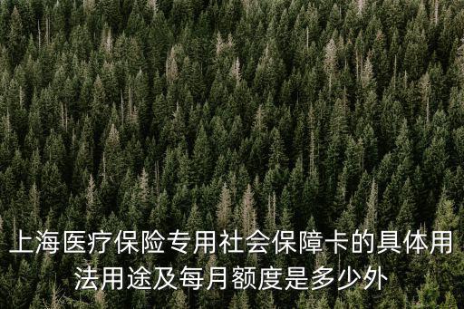 上海醫療保險專用社會保障卡的具體用法用途及每月額度是多少外