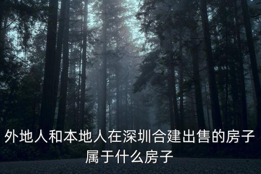 外地人和本地人在深圳合建出售的房子屬于什么房子