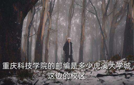 重慶科技學(xué)院的郵編是多少虎溪大學(xué)城這邊的校區(qū)