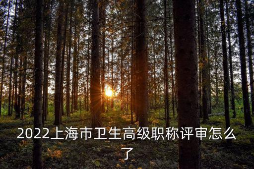 2022上海市衛生高級職稱評審怎么了