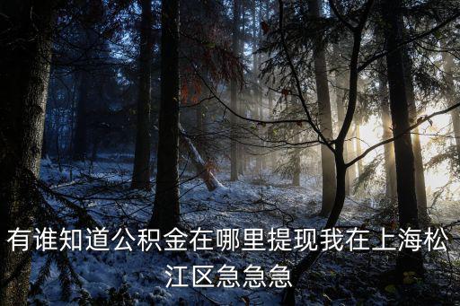 上海市松江區公積金提取在哪，在松江哪里可以提取住房公積金中松江行政大廳嗎