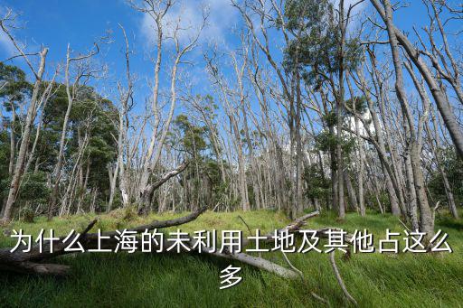 上海市城市土地產出，為什么上海的未利用土地及其他占這么多