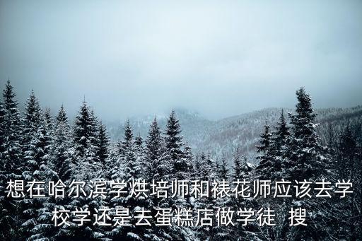 想在哈爾濱學烘培師和裱花師應該去學校學還是去蛋糕店做學徒  搜