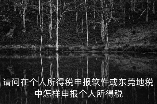 請問在個人所得稅申報軟件或東莞地稅中怎樣申報個人所得稅