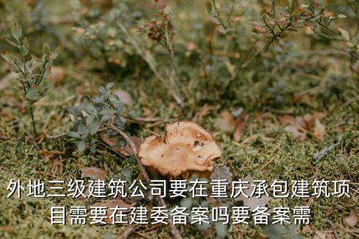 重慶市建委節能備案人員，外地三級建筑公司要在重慶承包建筑項目需要在建委備案嗎要備案需