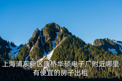 上海浦東新區(qū)康橋華碩電子廠附近哪里有便宜的房子出租
