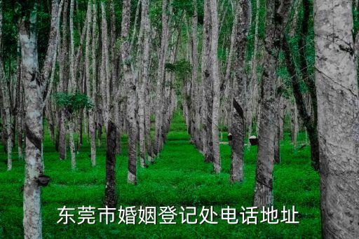東莞市婚姻登記處電話地址