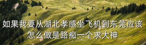 如果我要從湖北孝感坐飛機(jī)到東莞應(yīng)該怎么做是路癡一個求大神
