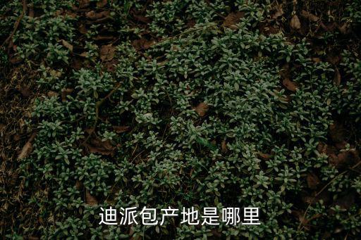 迪派包產(chǎn)地是哪里