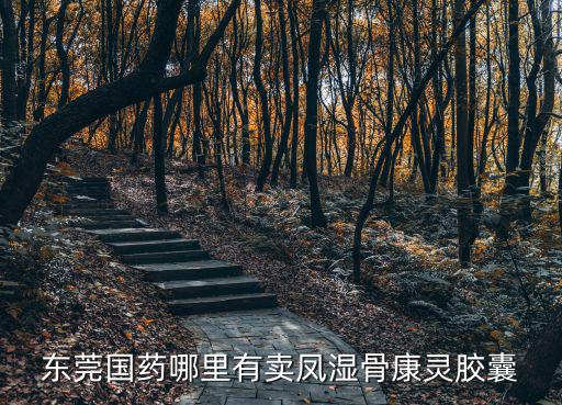 東莞國藥怡豐路店電話，東莞國藥哪里有賣鳳濕骨康靈膠囊