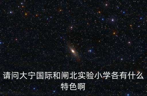 請(qǐng)問(wèn)大寧國(guó)際和閘北實(shí)驗(yàn)小學(xué)各有什么特色啊