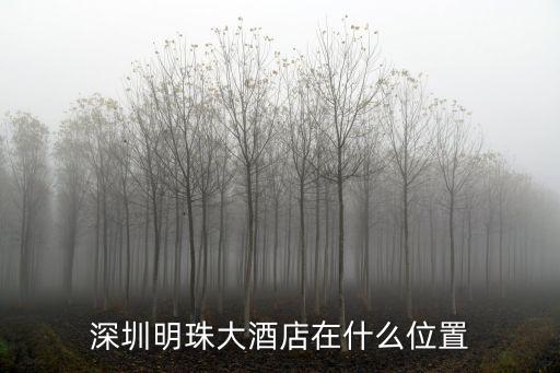 深圳明珠大酒店在什么位置