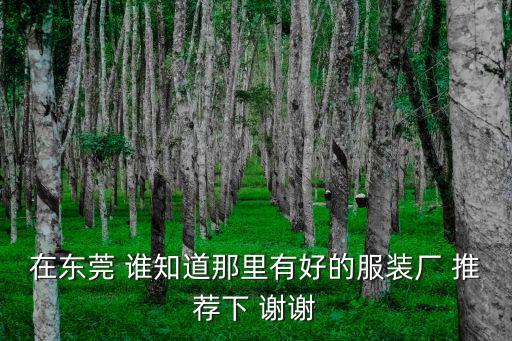 在東莞 誰(shuí)知道那里有好的服裝廠 推薦下 謝謝