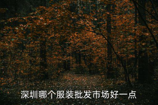 深圳哪個(gè)服裝批發(fā)市場(chǎng)好一點(diǎn)