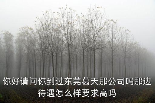 你好請問你到過東莞葛天那公司嗎那邊待遇怎么樣要求高嗎