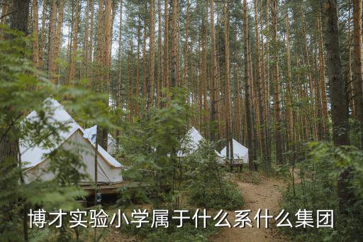 博才實驗小學屬于什么系什么集團