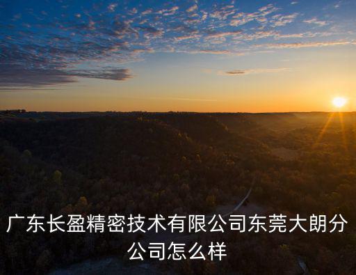 廣東長盈精密技術有限公司東莞大朗分公司怎么樣