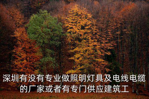 深圳有沒有專業做照明燈具及電線電纜的廠家或者有專門供應建筑工