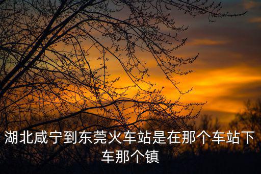 湖北咸寧到東莞火車站是在那個車站下車那個鎮(zhèn)