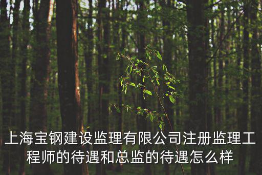 上海寶鋼建設監理有限公司注冊監理工程師的待遇和總監的待遇怎么樣