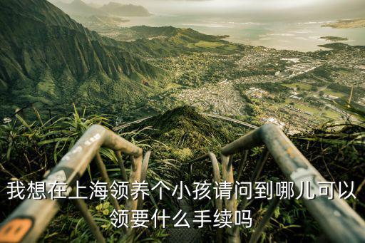 我想在上海領養個小孩請問到哪兒可以領要什么手續嗎