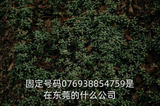 固定號碼076938854759是在東莞的什么公司