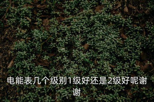 電能表幾個(gè)級(jí)別1級(jí)好還是2級(jí)好呢謝謝