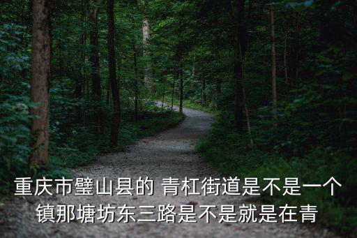重慶市璧山縣的 青杠街道是不是一個鎮那塘坊東三路是不是就是在青