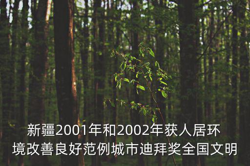 新疆2001年和2002年獲人居環(huán)境改善良好范例城市迪拜獎全國文明