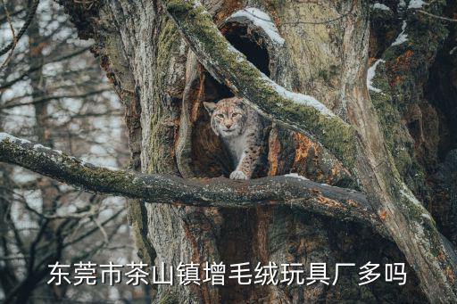 東莞茶山鎮哪里廠多，東莞茶山玩具廠哪家最大