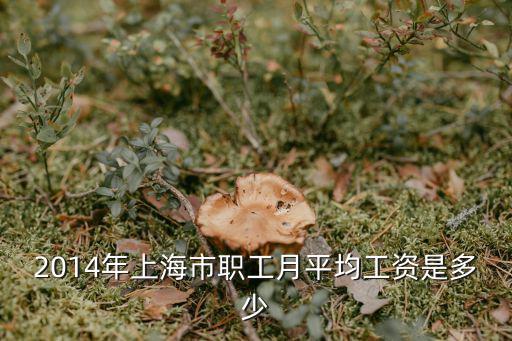 2014年上海市職工月平均工資是多少