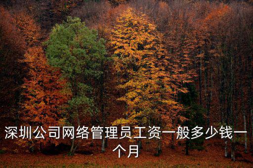 深圳公司網絡管理員工資一般多少錢一個月
