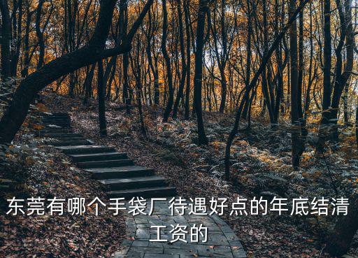 東莞有哪個手袋廠待遇好點的年底結清工資的