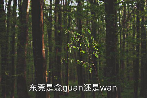 東莞是念guan還是wan
