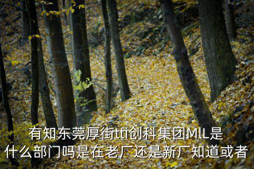 有知東莞厚街tti創科集團MlL是什么部門嗎是在老廠還是新廠知道或者