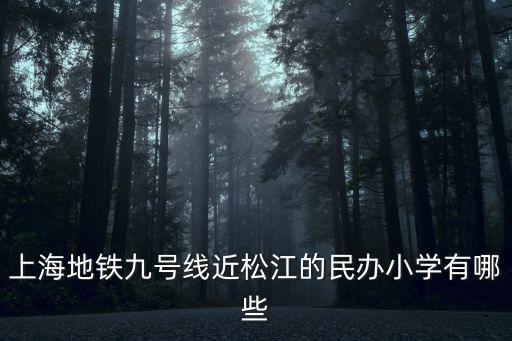 上海市松江區花橋村小學，松江中山小學學生午餐怎么樣